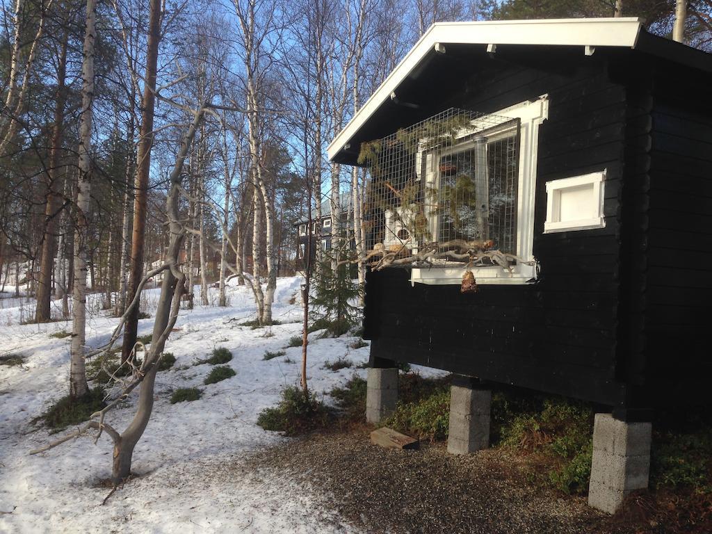 Bed and Breakfast Birk Bed & Birds Svanvik Экстерьер фото