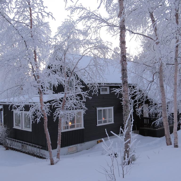 Bed and Breakfast Birk Bed & Birds Svanvik Экстерьер фото