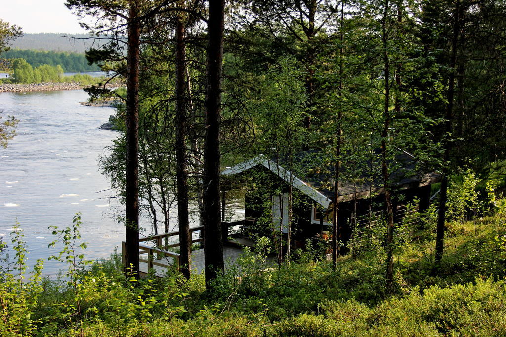 Bed and Breakfast Birk Bed & Birds Svanvik Экстерьер фото